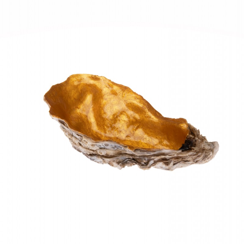 LACQUERED OYSTER SHELL