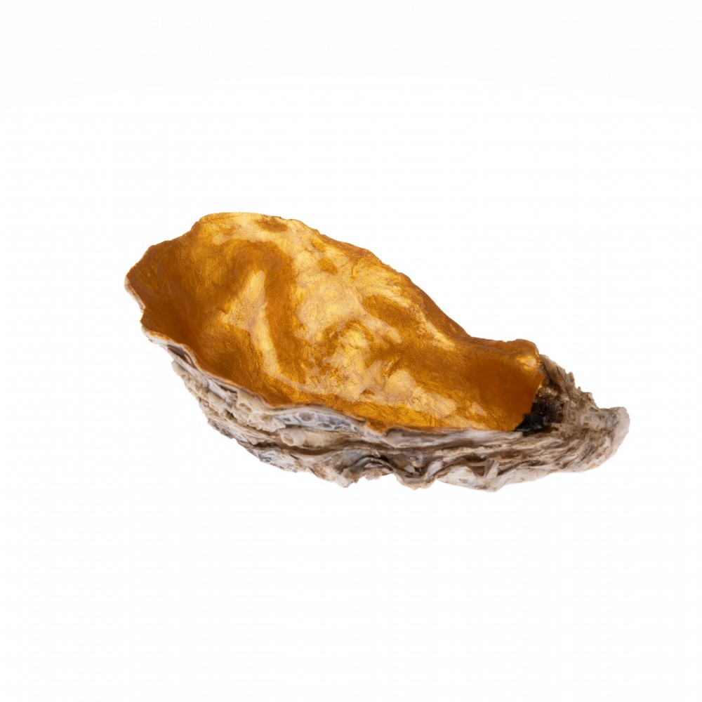 LACQUERED OYSTER SHELL